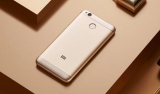 Xiaomi        100  