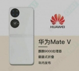   - Huawei Mate V